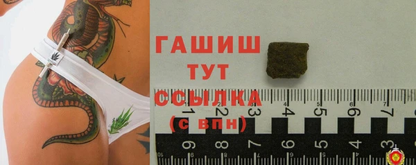 гидра Алексеевка