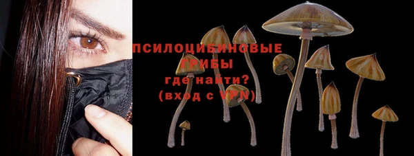 гидра Алексеевка