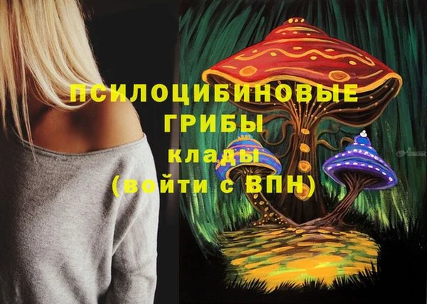 гидра Алексеевка