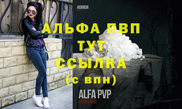гидра Алексеевка