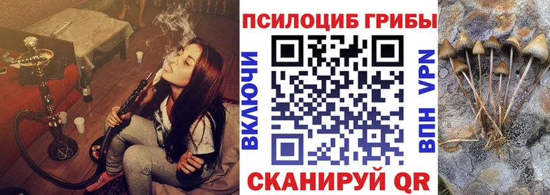 MEGA зеркало где продают Ликино-Дулёво Галлюциногенные грибы Magic Shrooms